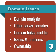 website audit - domain issues